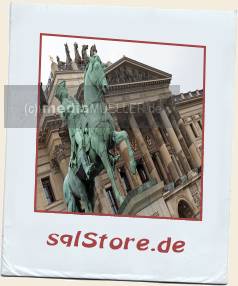 Schlossfassade_Ross-und-Reiter_HERZOG-CARL-WILHELM-FERDINAND.jpg_ALT