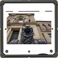 Rechterr-Loewe-vor-August-Bibliothek_ALT