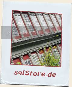 Fensterfront-rechts_Schloss-Wolfenbuettel.jpg_ALT