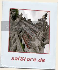 Schloss-Wolfenbuettel-mit-Statuen.jpg_ALT
