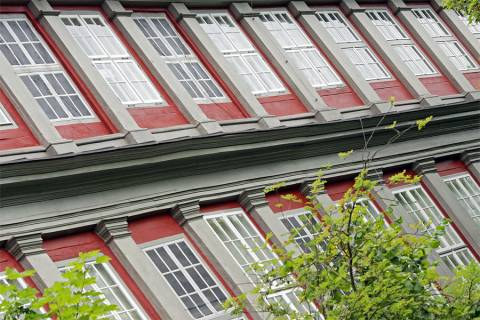 Bild: Fensterfront-rechts_Schloss-Wolfenbuettel